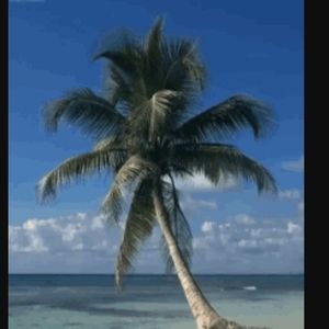 Meet your Posher, Lynn